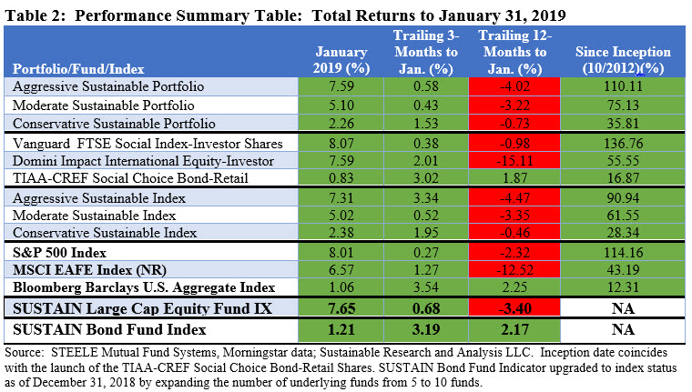 Performance Summary Table: Total Returns to january 2019