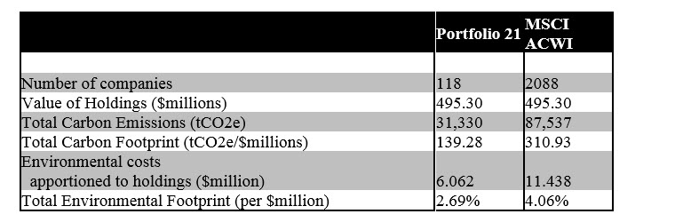 Environmental performance: portfolio 21 and MSCI