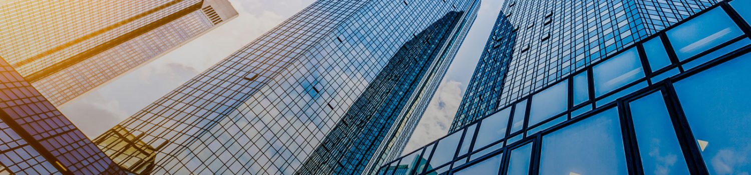 Monthly Reports Wrap Up-July 2019-image 2 Monthly Reports Wrap Up-July 2019-image 2