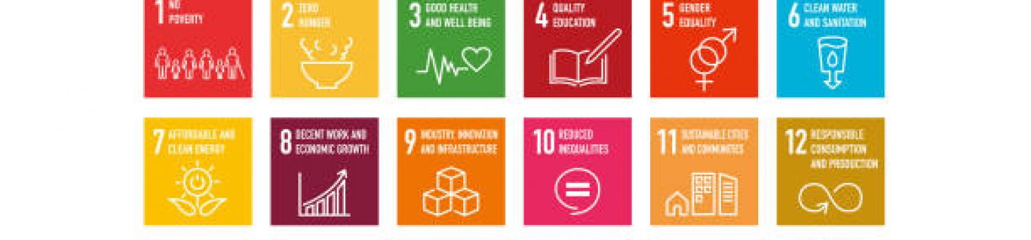 SDGs 17 development goals environment